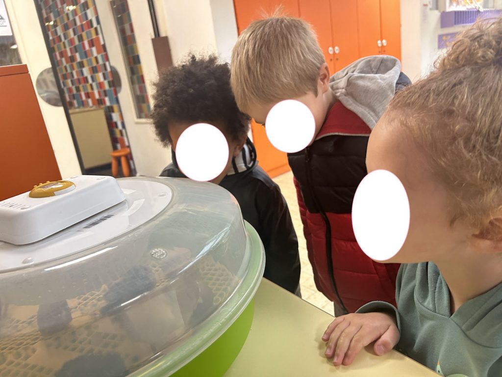 Enfants regardant un appareil